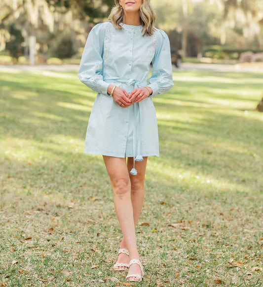 Embroidered Puff Sleeve Mini Dress