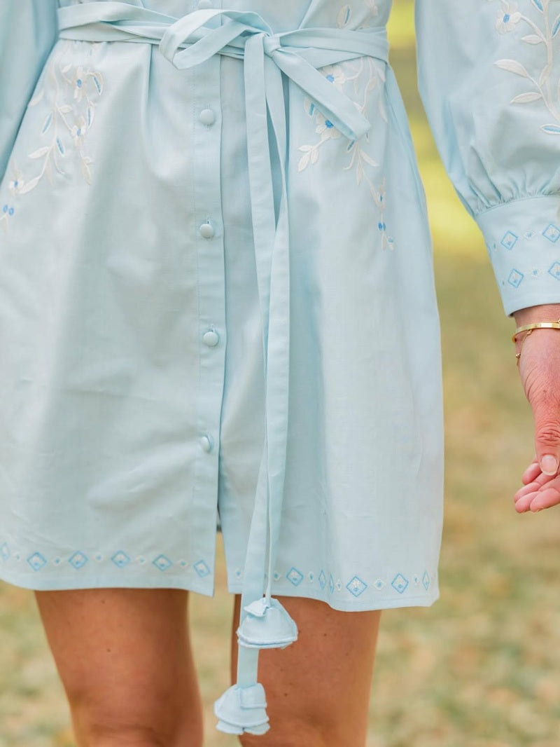 Embroidered Puff Sleeve Mini Dress